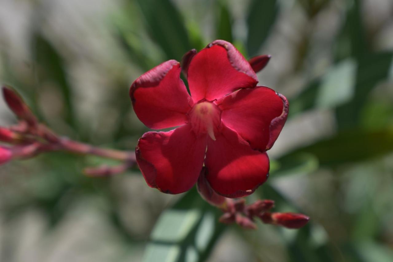 Palmengarten Finning Екстериор снимка